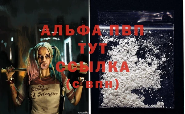jwh Новозыбков