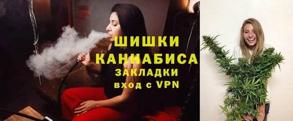 ПСИЛОЦИБИНОВЫЕ ГРИБЫ Новодвинск
