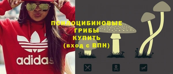 jwh Новозыбков
