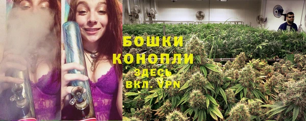 мяу мяу мука Новокубанск