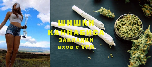 ПСИЛОЦИБИНОВЫЕ ГРИБЫ Новодвинск