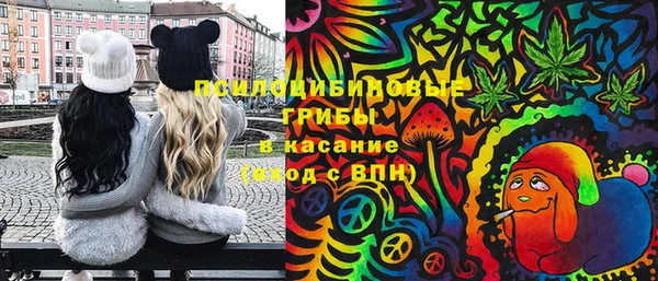 ПСИЛОЦИБИНОВЫЕ ГРИБЫ Новодвинск