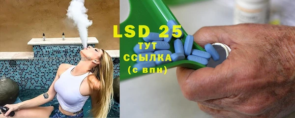 ПСИЛОЦИБИНОВЫЕ ГРИБЫ Новодвинск