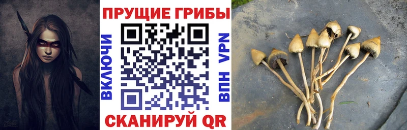 Псилоцибиновые грибы мицелий  Электросталь 