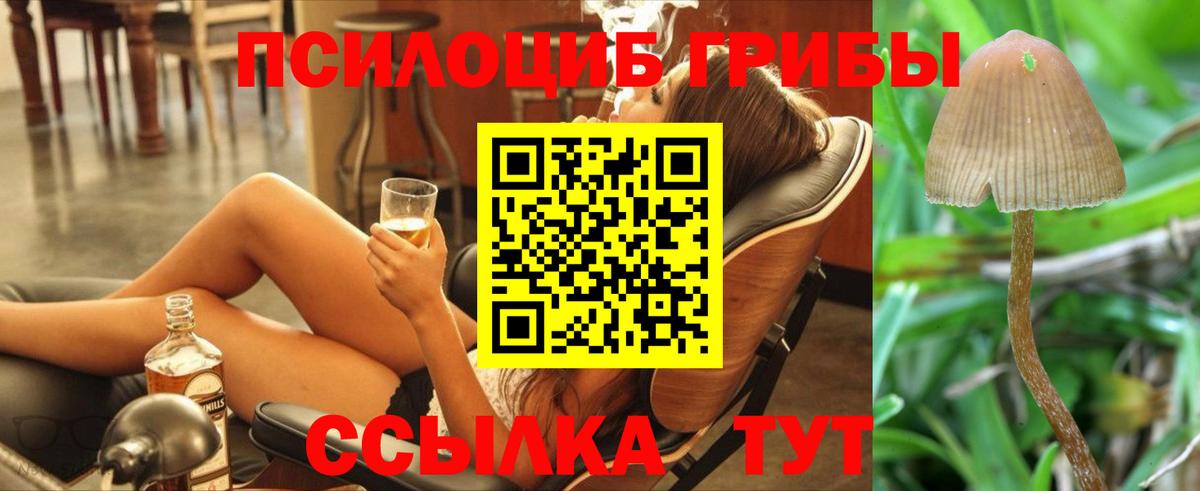 Галлюциногенные грибы GOLDEN TEACHER  Вход с VPN  Электросталь  Галлюциногенные грибы Psilocybe 